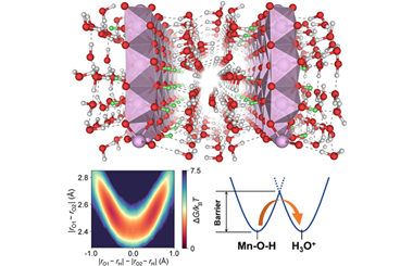 Confined proton transport in water-containing layered manganese oxide electrodes 2025.100528